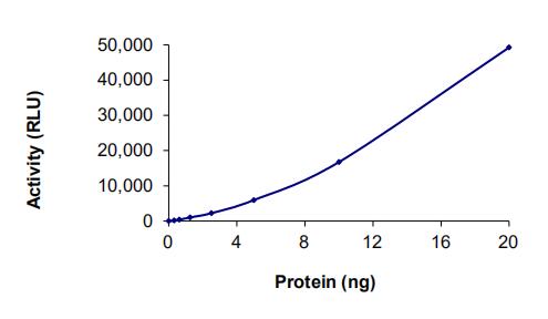 The specific activity of EGFR (L718Q L858R) was determined to be 3.8 nmol/min/mg as per activity assay protocol.